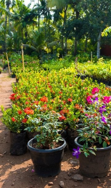 Garden Development Nashik