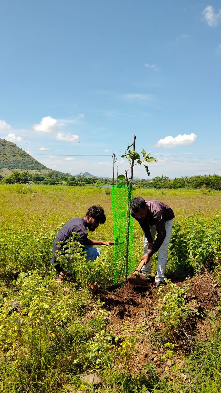 Tree Plantation & Maintenance – Akrale Phata to Kalwan (59 Km)